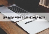 区块链国内开发项目公司[区块链产业公司]