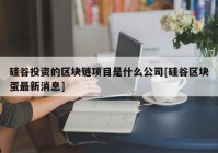 硅谷投资的区块链项目是什么公司[硅谷区块蛋最新消息]